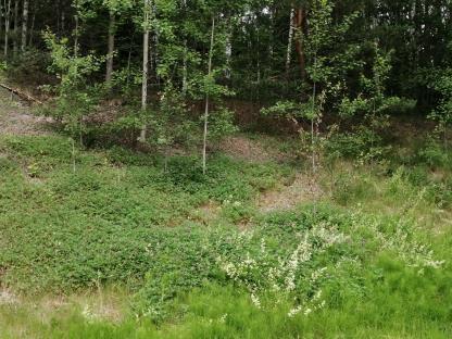 HABITAT